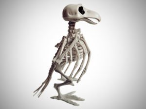 Скелет Ворона