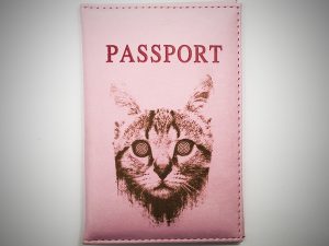 Обложка для паспорта Котик
